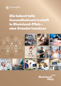 Bericht zur industriellen Gesundheitswirtschaft Rheinland-Pfalz