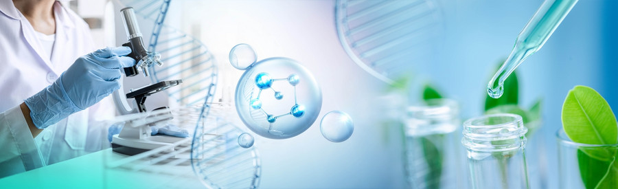 Experimentelle Forschung im Bereich Biotechnologie und DNA